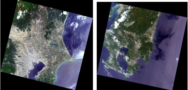 図 4.1: ゴルフ場の実験で使用する Landsat 8 衛星画像 [1]．(a) は 2014/5/31 に撮影され た関東地方の画像であり， (b) は 2014/5/2 に撮影された鹿児島周辺の画像である．ここ で示している画像は Landsat 8 のバンド 2,3,4 をそれぞれ RGB の Blue, Green, Red と して作成した画像である．