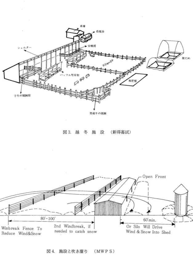 図 3 . 越 冬 施 設 (新得畜試)
