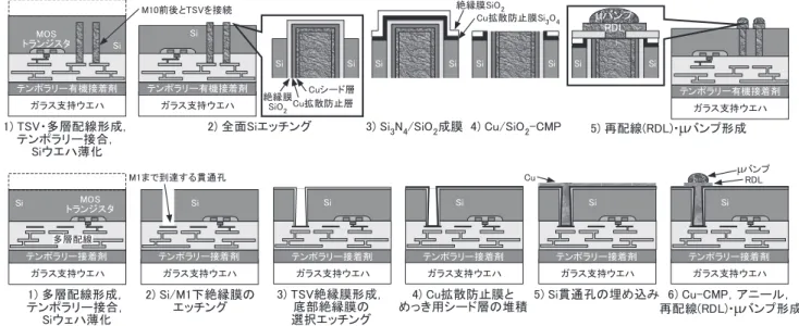 図 7　 Via-Middle （左）と Via-Last （右）で形成した Cu-TSV の断面 SEM 写真