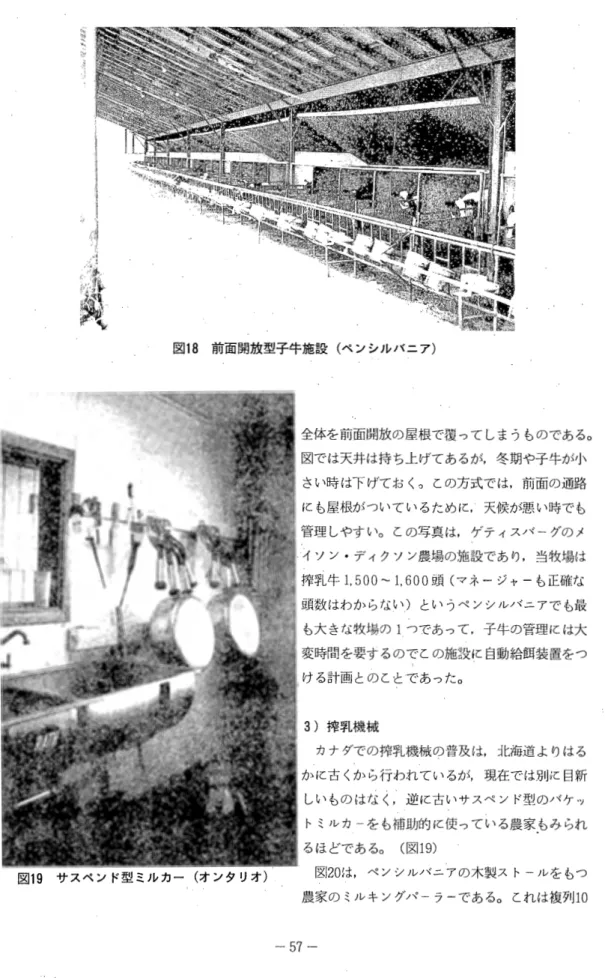 図 1 8 前面開放型子牛施設(ペンシルパニア) 図 1 9 サスペンド型ミル力一(オンタリオ) 全体を前面開放の屋ー根で、覆ってしまうものである。図では天井は持ち上げてあるが，冬期や子牛が小さい時は下げておくつ乙の方式では，前面の通路にも屋根がついているために，天候が悪い時でも管理しやすい。乙の写真は，ゲティスパーグのメイソン・ディクソン農場の施設であり，当牧場は搾乳牛 1 ， 500~1，600頭(マネージャーも正確な頭数はわからなしつというペンシルパニアでも最も大きな牧場のlつであって，子牛の管理には