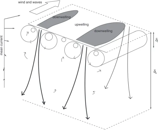 図 8.1: 海洋の混合層内の Langmuir 循環の模式図. δ s が風波による Stokes ドリフトが卓越する深 さ、 δ e が Ekman 流が卓越する深さを表す 