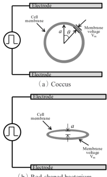 図 1　微生物の標準の穿孔