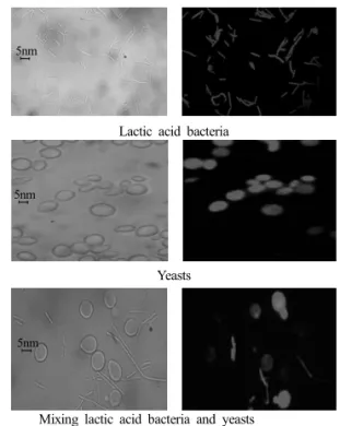 図 4　微生物の角度と絶縁破壊電界強度との関係