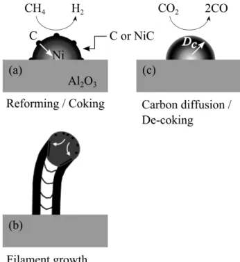 Fig. 6　Formation and removal of solid carbon on Ni catalysts.