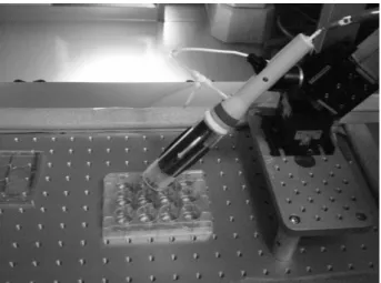 Fig. 3 Visualization of the plasma irradiation for Male Wistar rat. 