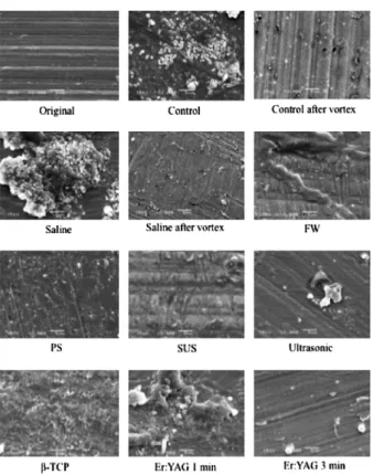 Fig 2 SEM observations of the healing abutment surfaces before and after decontamination in dog.