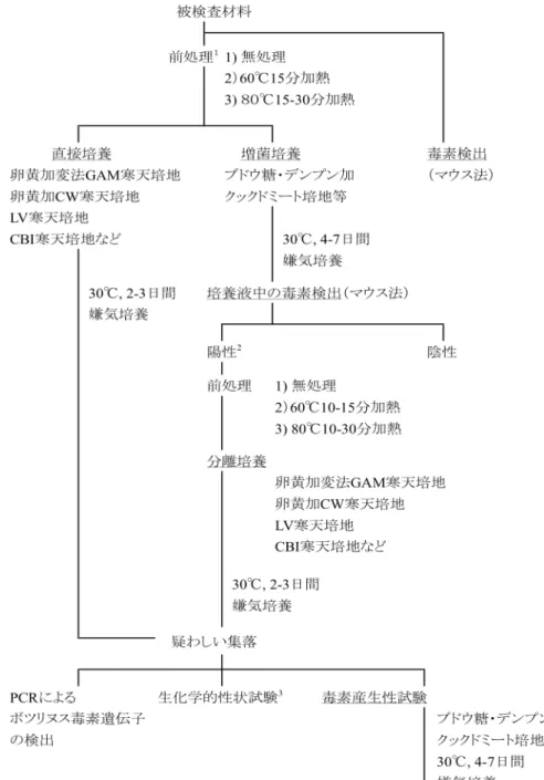 図 １    ボ ツ リ ヌ ス 症 の 細 菌 学 的 検 査   
