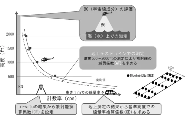 Fig. 4-2    Image of test-line flight 