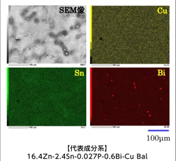 図 6 図 7 Cu Sn BiSEM像 100μm CuSnBiSEM像 100μm 図6　クリカLNの代表成分のSE M -EDS分析結果