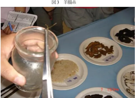 図 3   羊腸糸 