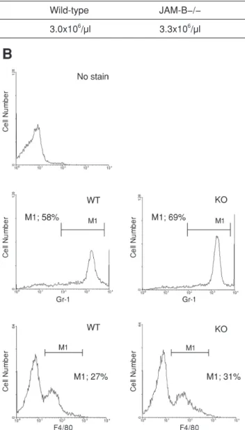 Fig. 4. Normal response of JAM-B−/−  mice to thioglycollate- thioglycollate-induced peritonitis