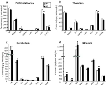 Fig.  7.    Phosphorylation  of  various  protein  kinases  in  the  hippocampus of HB-EGF KO mice