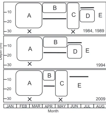 Fig. 11. Schematic diagrams of seasonal fluctuation pattern of A. tamarense bloom and pycnocline developing in coastal area of Funka Bay