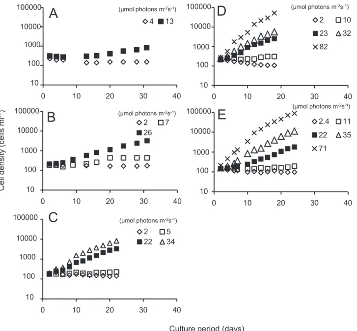 Fig. 14. Growth in cell density of A. tamarense at different temperature under low light intensities