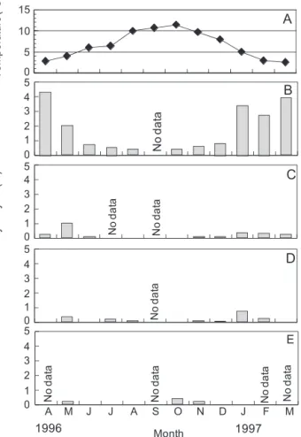 Fig. 25. Changes in bottom water temperature at Yakumo station from April, 1996 to March, 1997 (A) and seasonal changes in germination activity of A.