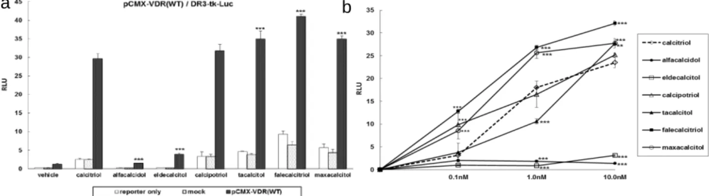 Figure 7. The effect of active synthetic VD 3  analogs on the transcriptional activity of the WT-VDR
