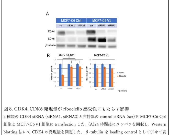 図 8. CDK4, CDK6 発現量が ribociclib 感受性にもたらす影響 
