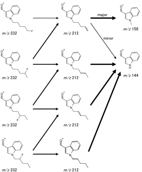 Fig. 3 Probable fragmentation pathway of 3 carbonyl N ‰uoropentyl-indole type of synthetic cannabinoids.ことにより，各位置異性体の識別が可能と考えられた．MS2分析の結果のみでは各位置異性体を識別することは極めて困難であるが，イオントラップ型質量分析計を用いたMS3分析さらにはMS4分析を行うことで，位置異性体識別能力の向上が可能となった．なお，MS3分析における差異は，フッ素の結合位置によってHF
