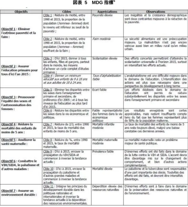 図表  5  MDG 指標 5