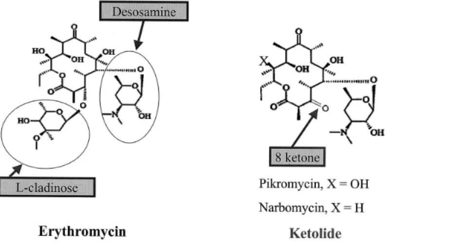 Fig． 1. Chemical structures of erythromycin and ketolide.