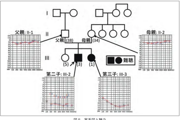 図 6　遺伝子解析結果