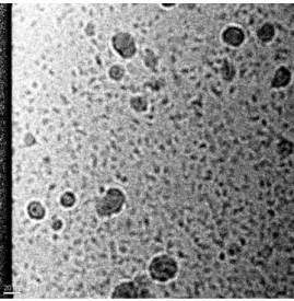 Fig. S2. Cryo-TEM image of CL-containing q=1 bicelles. Measurement conditions: solution  condition; 25 mM HEPES-NaOH, pH 6.8, containing 50 mM NaCl; [DHPC], 30 mM; [DMPC], 27  mM; [CL], 3 mM; [K 3 [Fe(CN) 6 ]], 0.3 mM