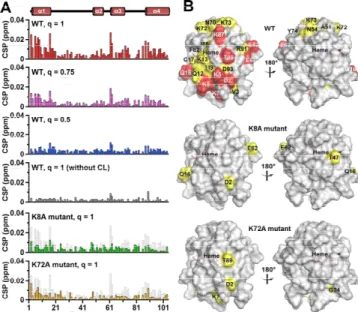 Figure 2. CSP values of the amino acid residues and surface mapping of  oxidized WT, K8A, and K72A cyt c in the presence of CL-containing bicelles