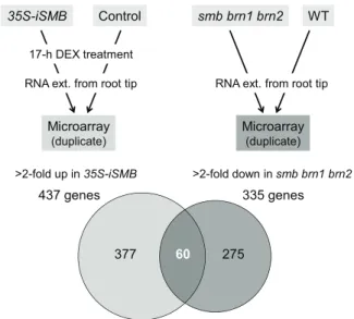 Fig. S2). This suggests that our combinatorial transcriptome approach successfully identified endogenous target genes.