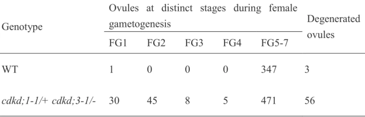 Table 4. Number of ovules produced in wild-type and cdkd;1-1/+ cdkd;3-1/- plants   
