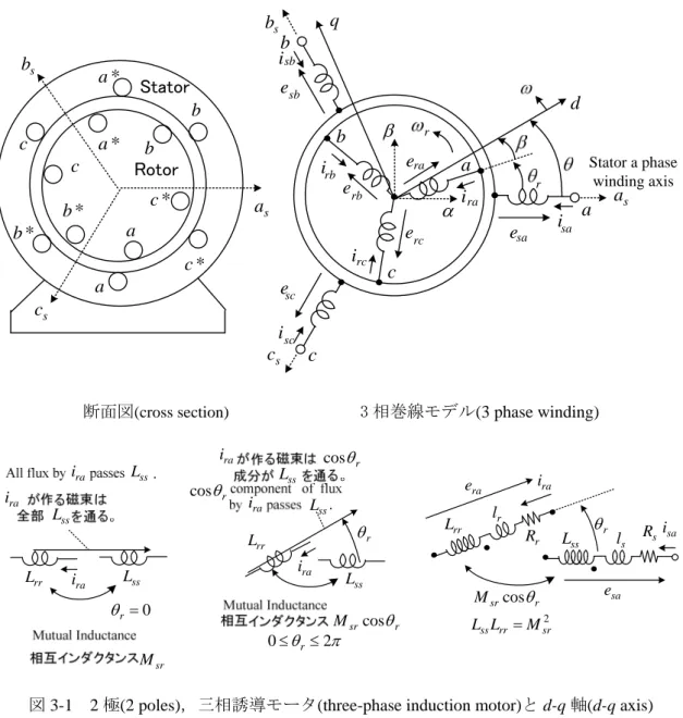 図 3-1  2 極(2 poles)，三相誘導モータ(three-phase induction motor)と d-q 軸(d-q axis) 