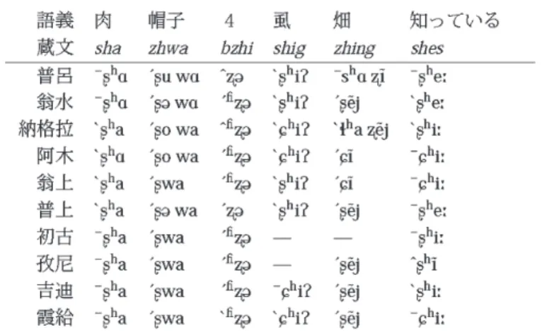 表 31 ：蔵文 SH 系列の基本的音対応   蔵文 SH 系列は，表 31 に示すように，ほとんどの方言および語例でそり舌摩擦音と対応す る 48） 。ただし，若干の例外と考えられる現象が見られる。それは「虱」，「畑」，「知っている」 の例に見られる前部硬口蓋摩擦音との対応である。これは実際のところ蔵文 TS 系列の記述で 触れたように，蔵文の母音が e である場合に認められる規則的な音対応と並行する事例である が，蔵文の後接字を伴う母音 i の場合も含まれるなど，異なりも認められる。また，霞給，阿 木方