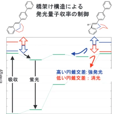 図 2  反応のエネルギーダイヤグラム    さらに、橋かけスチルベン（ n=7 ）は、その量子収率が溶液中で 0.4% 、固体状 態で 95%以上と、発光のオン・オフをほぼ完璧に行うことができ、サイズが小さ く分析対象の形状や物性に大きな影響を与えない非侵襲性があります。 ●背景   一般的に、蛍光色素は希薄溶液中で強発光し、固体状態になると蛍光が弱くな るか、消光します。しかし、 2001 年に香港科技大のタン教授（ B
