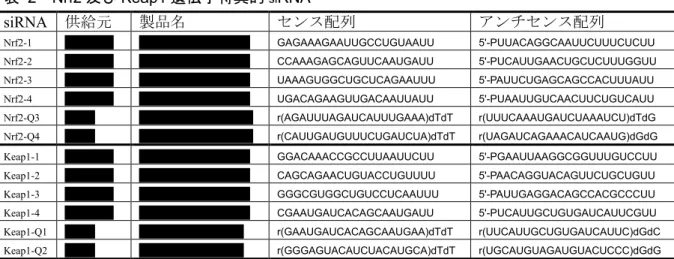 表   2 Nrf2 及び Keap1 遺伝子特異的 si RNA 