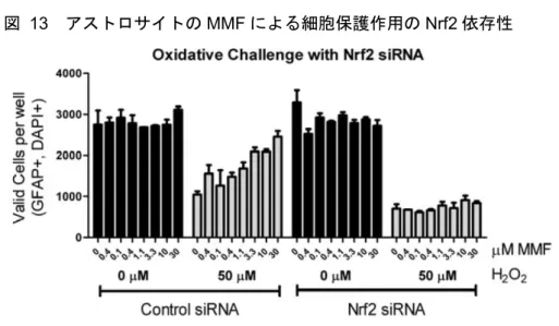 図   13 アストロサイトの MMF による細胞保護作用の Nrf2 依存性