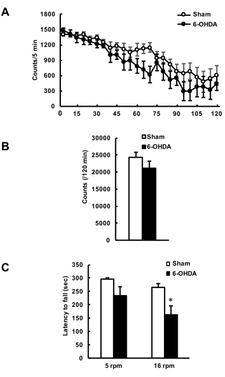 Fig.  2.    6-OHDA誘発片側線条体破壊マウスの運動機能の評価．マウスの左側線条体に 生理食塩水もしくは6-OHDAを局所注入し，その14日後に行動解析を行った．A