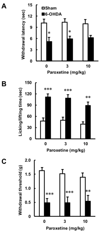 Fig.  6.    6-OHDA 誘発片側線条体破壊マウスの痛覚過敏に対するパロキセチン  (PXT)  急性投与の効果．マウスの左側線条体に生理食塩水もしくは 6-OHDA を局所注入し，