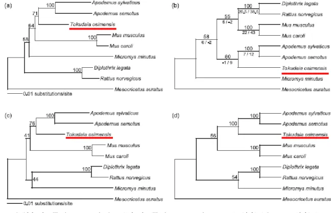 図 1  トゲネズミ属（ Tokudaia ）とアカネズミ属（ Apodemus ）の RAG1 遺伝子 と IRBP 遺伝子のデー