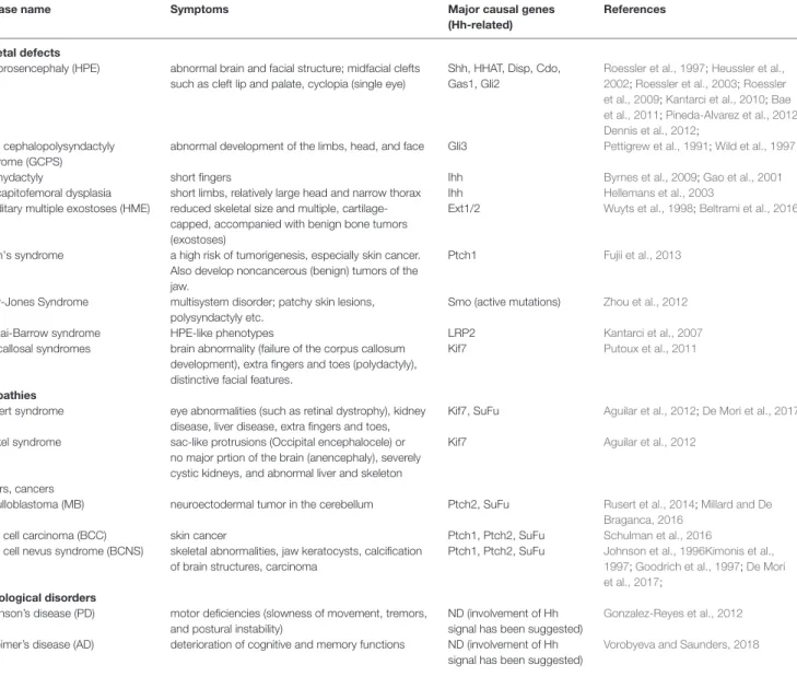 TABLE 2 | Detailed symptoms in the Hh-related disease. ND, not determined.