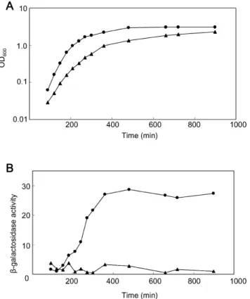 Fig. 5. Effect of crp mutation on relAP2 activity. Overnight cultures were diluted 500-fold into LB medium