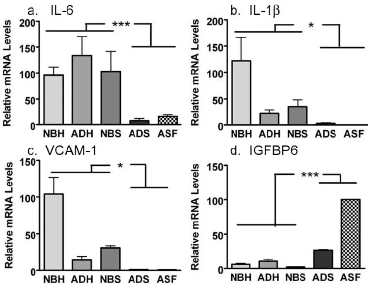 Fig 2. Gene expression profiles of sample candidate genes were confirmed using real time quantitative PCR