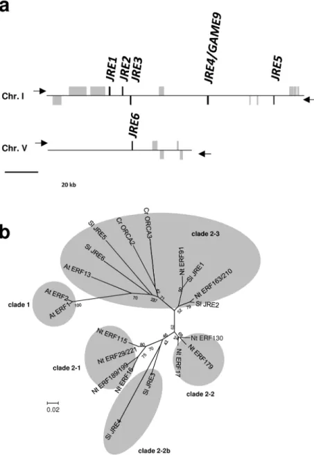 Figure 1 Tomato JRE genes  