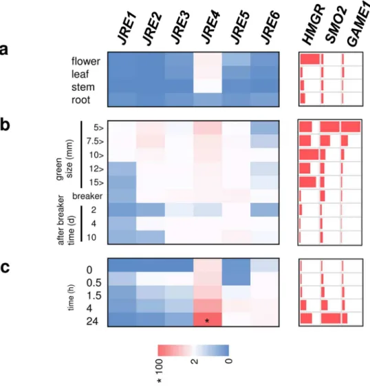 Figure 2 Expression patterns of JRE genes in tomato.  