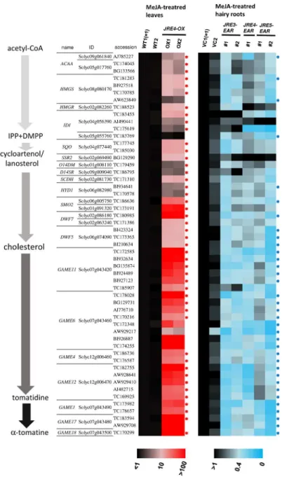 Figure 3 JRE-regulated SGA biosynthesis genes identified by cDNA microarray analysis.  