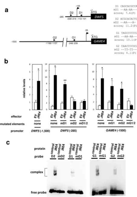 Figure 6 JRE4-mediated activation of DWF5 and GAME4 is dependent on JRE-binding elements found in the  promoter regions