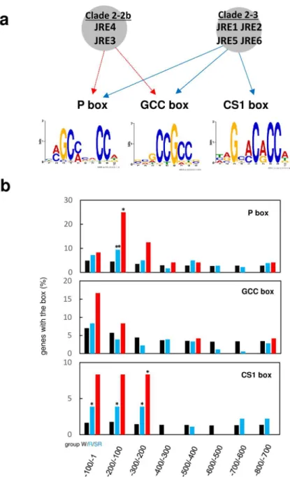 Figure 7 Computational prediction of putative JRE-binding elements in promoter regions of genes regulated  by JREs
