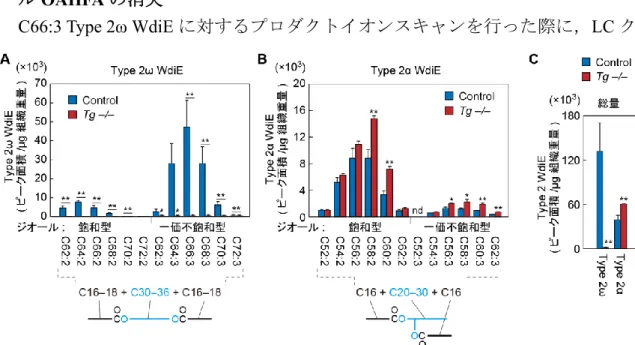 図 23. Tg-Cyp4f39 − / − マウスマイボーム腺における Type 2ω WdiE の消失