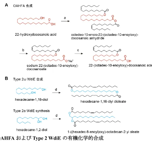 図 30. OAHFA および Type 2 WdiE の有機化学的合成 