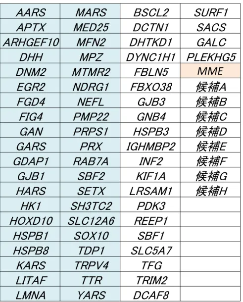 FIG4 PMP22 GNB4 候補C GAN PRPS1 HSPB3 候補D GARS PRX IGHMBP2 候補E GDAP1 RAB7A INF2 候補F GJB1 SBF2 KIF1A 候補G HARS SETX LRSAM1 候補H