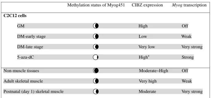Table 1: Summary of methylation level of Myog451, CIBZ protein expression, and Myog transcription