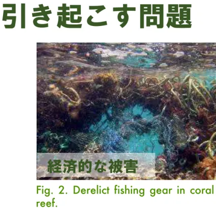 Fig. 3.ストローが鼻に刺さった亀